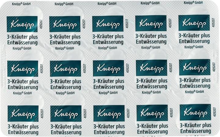 Actual product image 3-Herbs Drainage plus Capsules, 60 Capsules (60 Piece, Capsules)