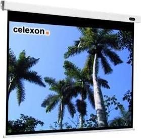 Actual product image Celexon Electric Professional (134", 16:9)