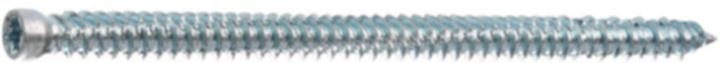 Actual product image Profix Frame screws PRS (200 Screws per piece)