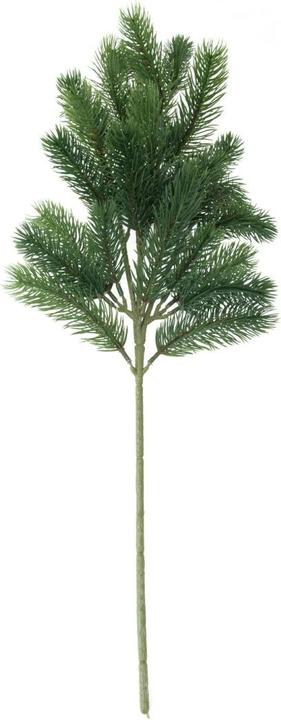 Image du produit Europalms Branche de sapin, PE, 65cm