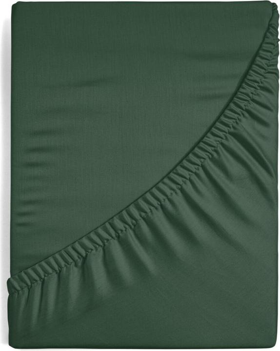 Image du produit Eurofirany By (220 x 200 cm)