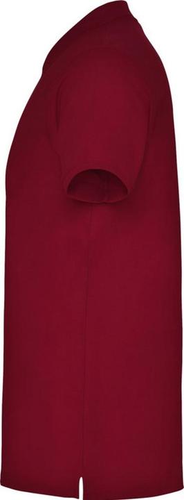 Produktbild Alpinia Star Poloshirt kurzärmlig (XL)