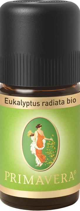 Produktbild Primavera Eukalyptus radiata* bio