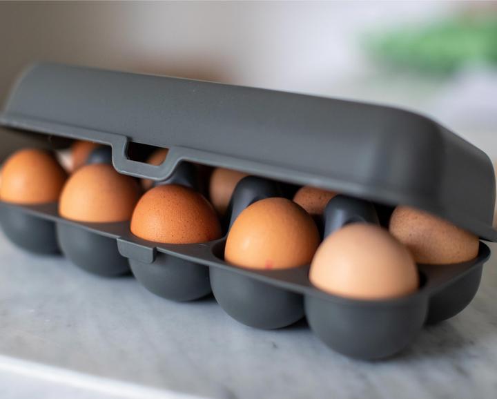 Actual product image Koziol Eggbox To Go (2.37 l)