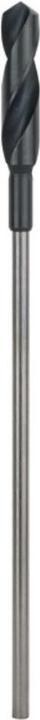 Actual product image Bosch Professional Zubehör PRO Wood HSS installation drill bit, 22 x 100 x 400 mm (22 mm)