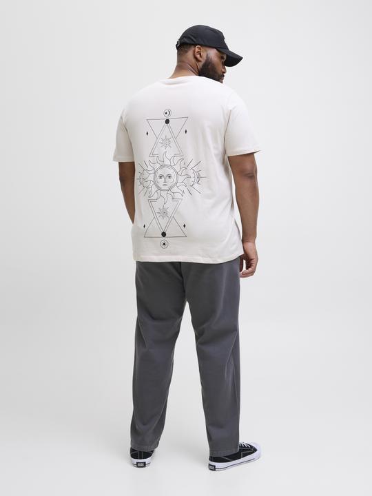 Produktbild Jack & Jones Jpstkane Fctry Fabric2 L2 Chino Pant Pls (W40/L34)