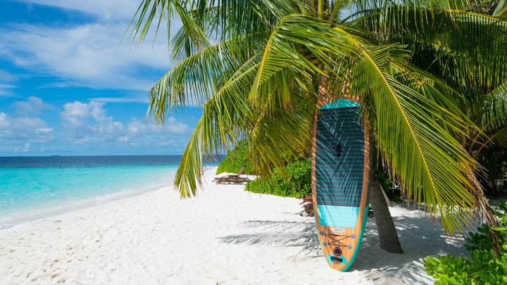 Image du produit Mint Lama Family (10'6")