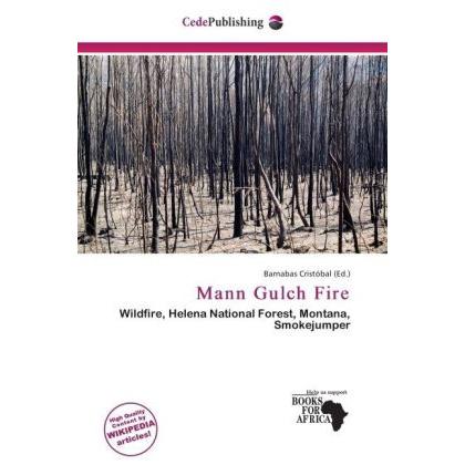 Mann Gulch Fire, Fachbücher