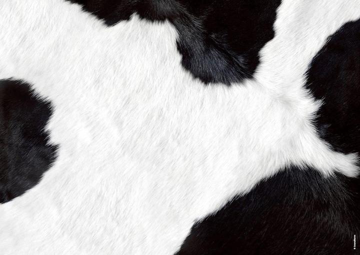 Image du produit Trendform Mooh (42 x 29.70 cm)