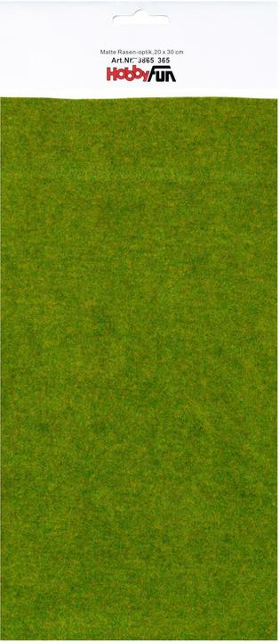 Actual product image Hobby Fun Grass mat 20 cm x 30 cm
