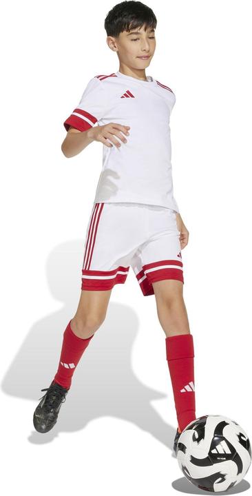 Produktbild adidas Squadra 25 Short Kids (152)