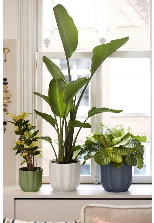 Produktbild Elho Vibes fold (18 x 17 cm)