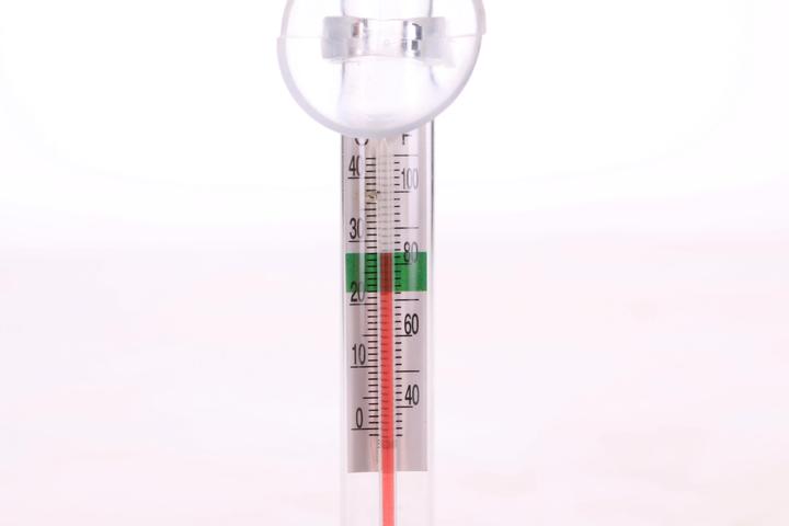Produktbild Aquavie Thermometer aus Glas