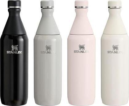 Actual product image Stanley 1913 All Day Slim Flasche (0.60 l)