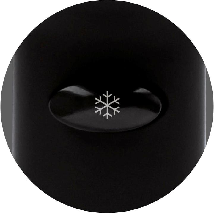 Actual product image Revlon Fast and Light (2000 W)