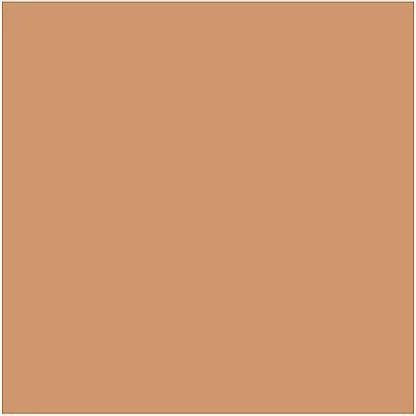 Produktbild Estée Lauder Este Lauder Double Wear Stayinplace Makeup Spf 10 Longwear Foundation 3w2 30ml (3W2 Cashew)