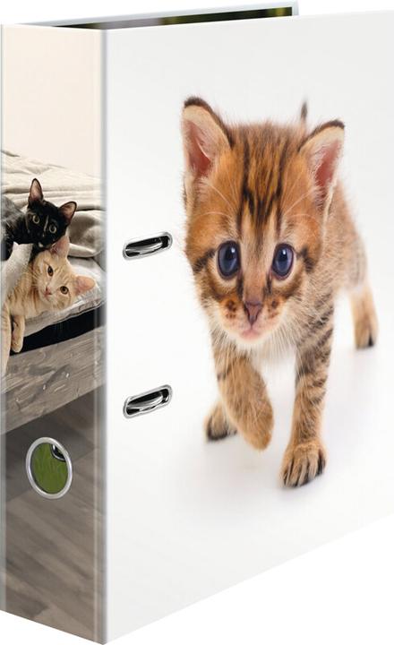 Actual product image HERMA Motiv-Ordner A4 Katze (A4, 70 mm, 1 pcs.)