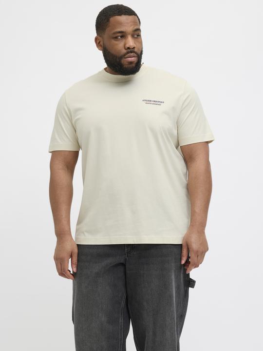 Produktbild Jack & Jones Jorislington Type Tee Ss Crew Neck Pls (XXL)