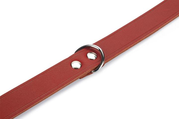 Produktbild Beeztees BZ LEDERHALSBAND ROT 62X25 (Hund, Allgemein)