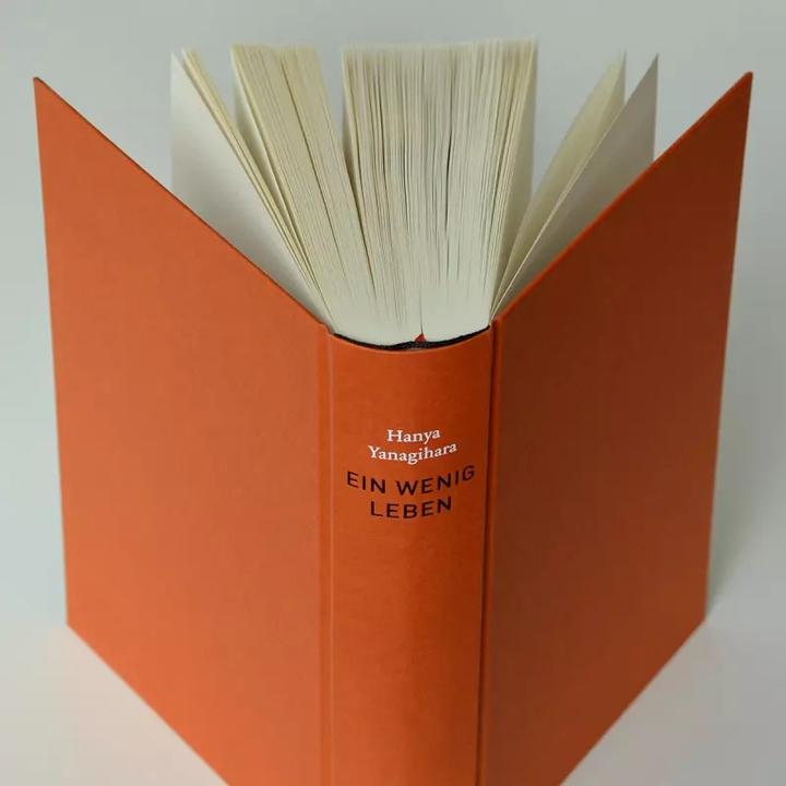 Produktbild Ein wenig Leben (Deutsch, Hanya Yanagihara, 2017)