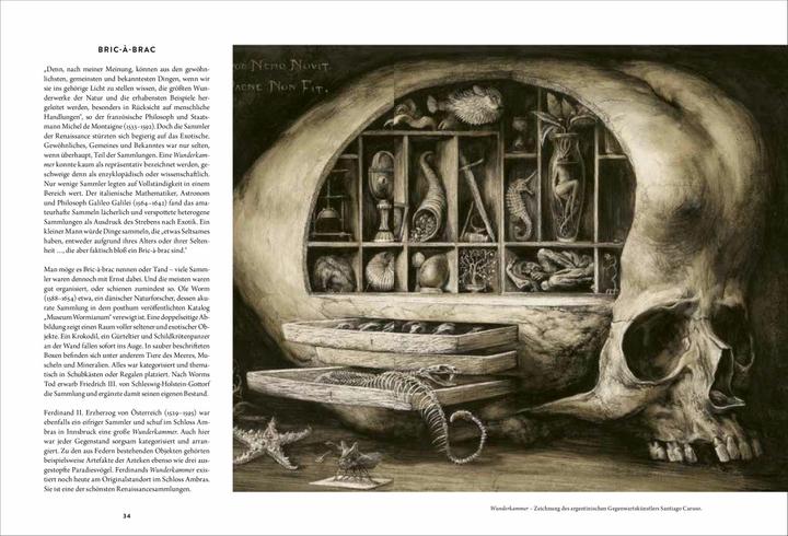 Produktbild Wunderkammer (Deutsch, Thijs Demeulemeester, 2018)