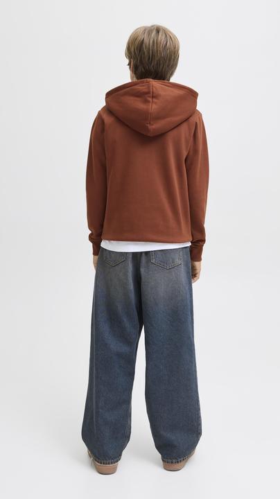 Produktbild Jack & Jones Jjecaleb Varsity Sweat Hood Noos Jnr (152)