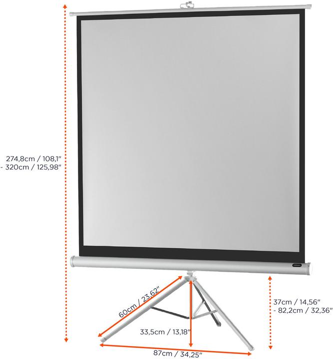 Actual product image Celexon Economy tripod screen - Projection screen with tripod - 310 cm (122") (121.65", 1:1)