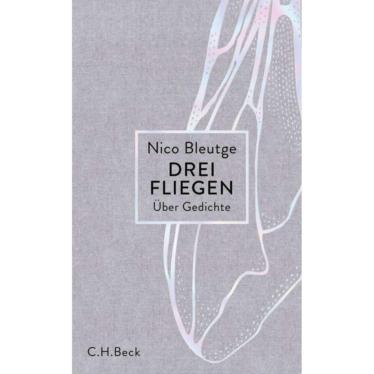 drei fliegen, Belletristik von Nico Bleutge
