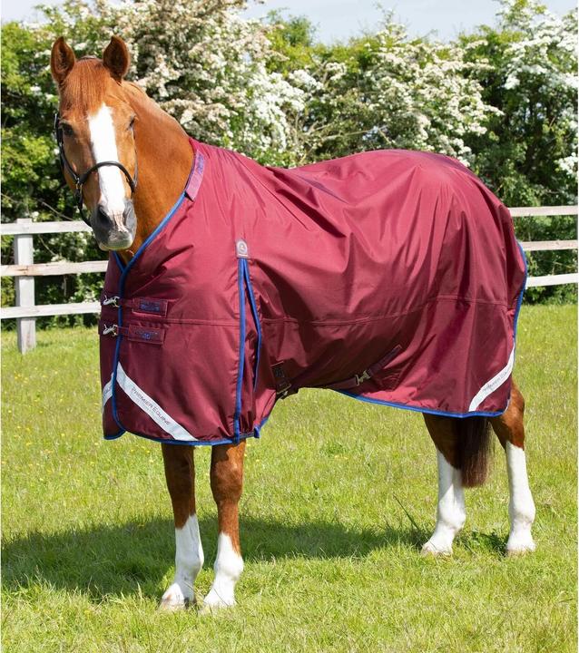 Produktbild Premier Equine Buster 40g (221 cm)
