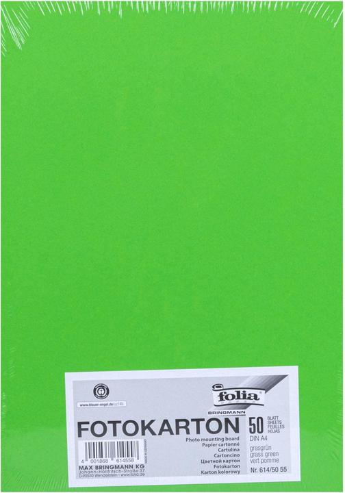 Produktbild Folia Fotokarton farbig Format A4 (300 g/m², 1x)