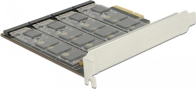 Delock Storage controller (RAID)