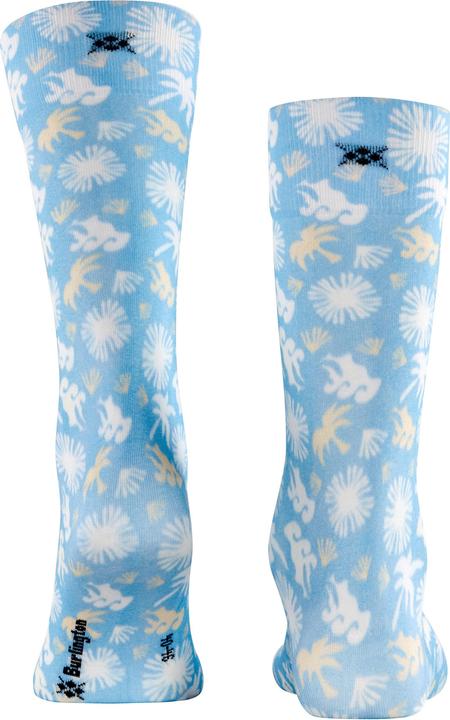 Image du produit Burlington Lagoon (Une unité par pack, 40 - 46)