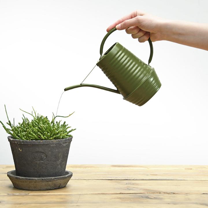 Produktbild Esschert Design EL060 (0.96 l)