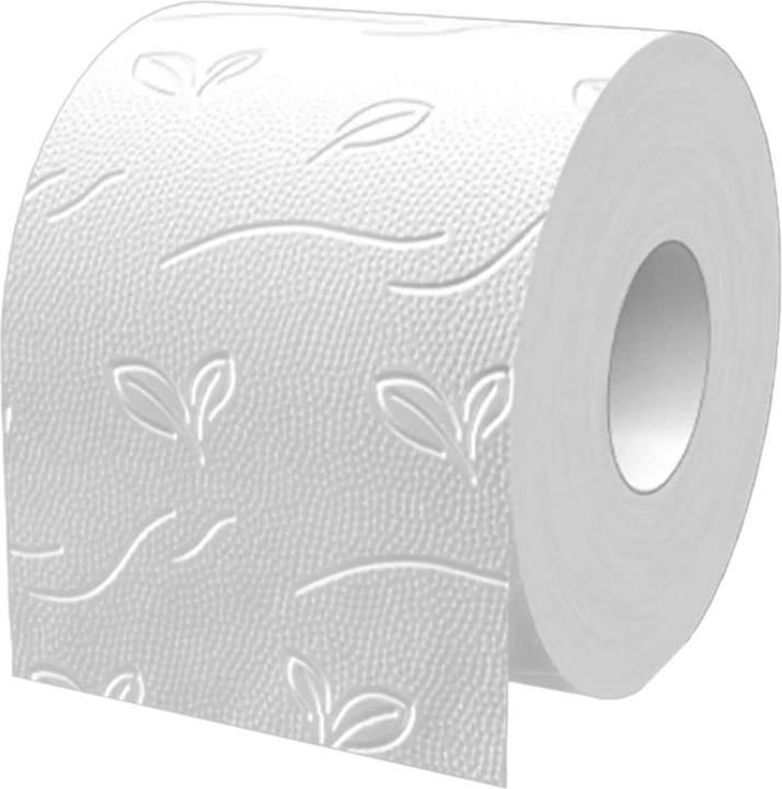 Actual product image Katrin Toilet paper 3-ply, toilet paper, WC paper- Plus Toilet 250 SOFT - 9 x 8 rolls, se (72 x)