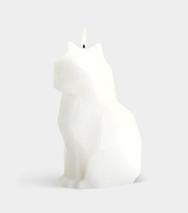 Actual product image 54Celsius PyroPet Kisa (1 pcs.)