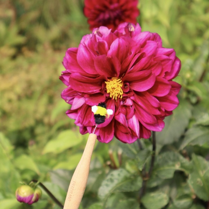Actual product image Kikkerland Pollination wall (16 cm, 1.20 cm)