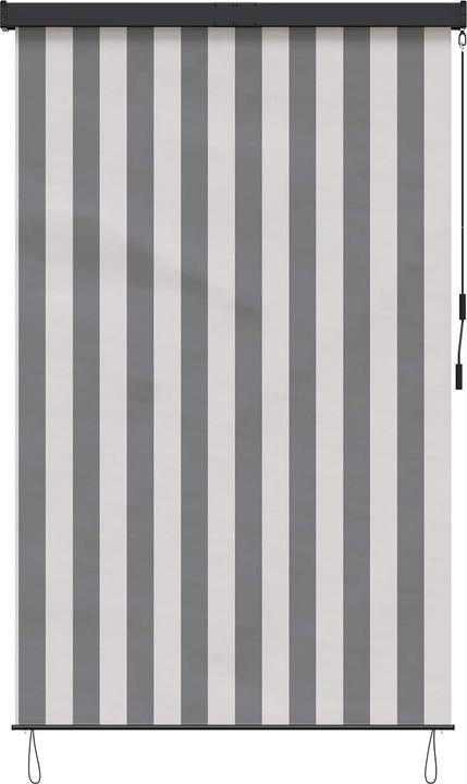 Produktbild vidaXL Outdoor Rollo (100 x 250 cm)