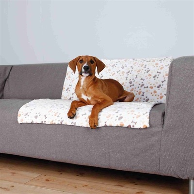 Actual product image Trixie Lingo (Dog)