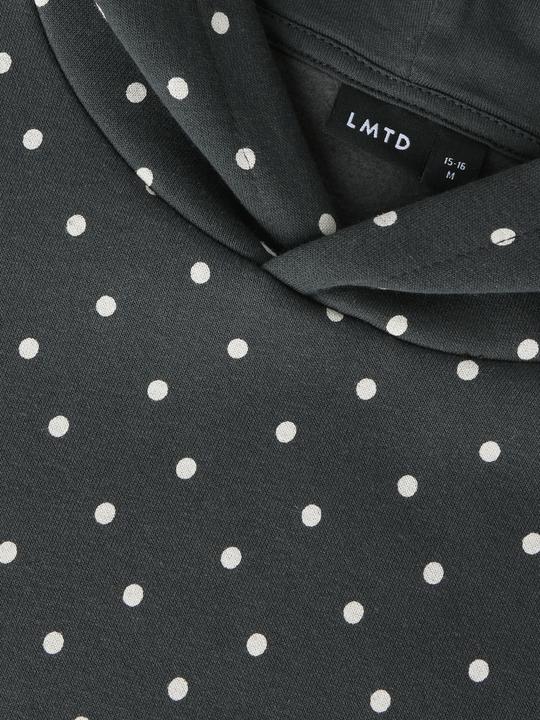 Produktbild Lmtd Regular Fit Hoodie (134, 140)