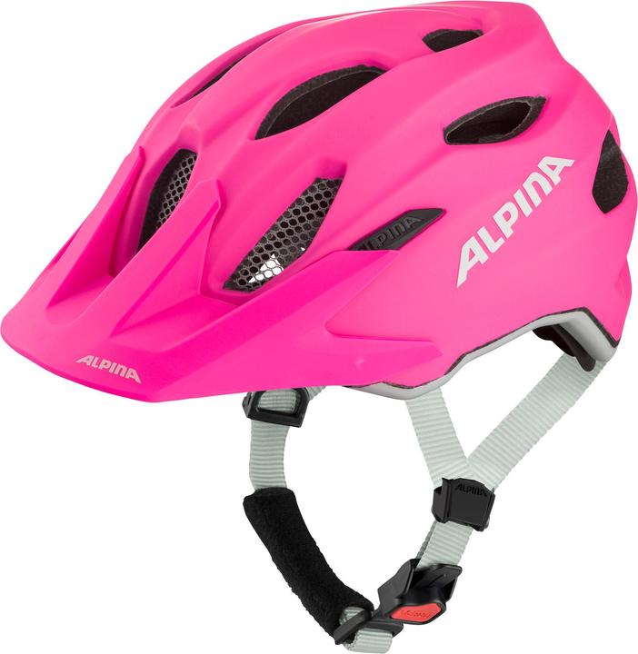 ALPINA SPORTS Carapax (51 - 56 cm)