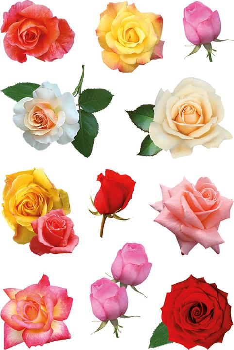 Produktbild HERMA Sticker Blumen
