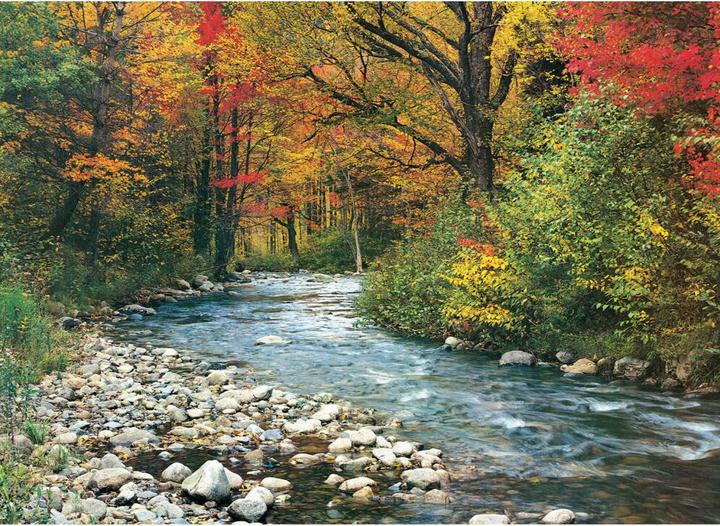 Immagine prodotto Eurographics Ruscello nella foresta (1000 pezzi)