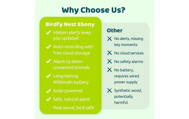 Actual product image Birdfy Vogelhaus Nistkasten mit Kamera und Solar