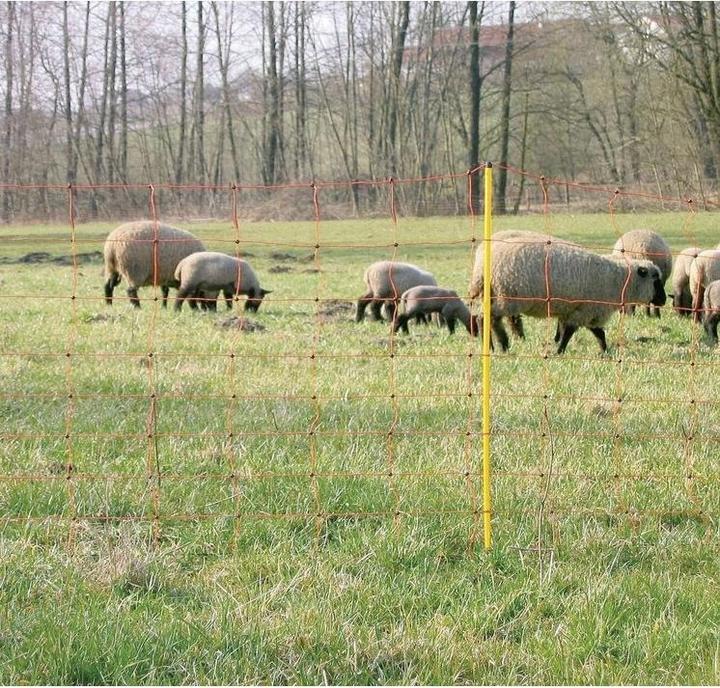 AKO Elektronetz Schafnetz orange Doppelspitze, 50 m x 90 cm