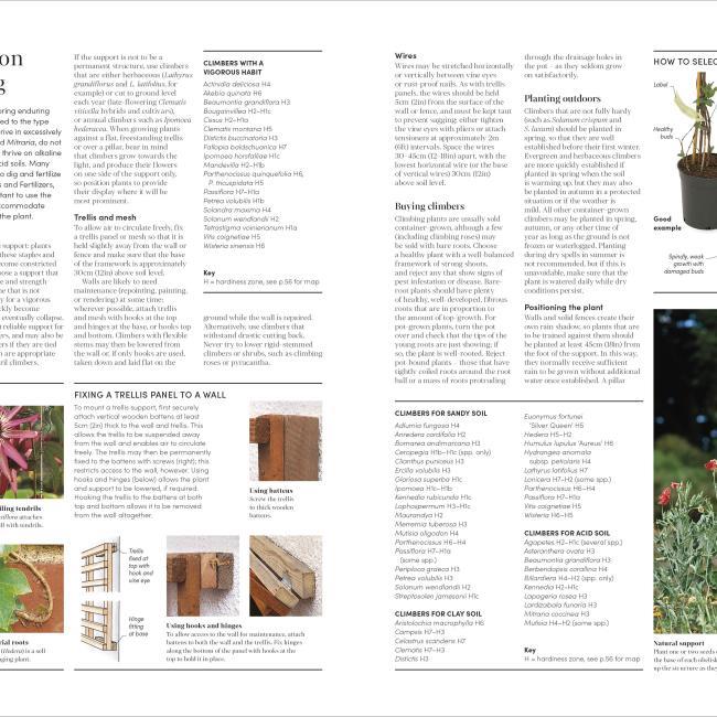 Actual product image RHS Encyclopedia of Gardening New Edition (English, 2022)