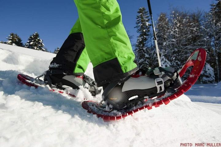 Image du produit Tsl Hyperflex (27.17")