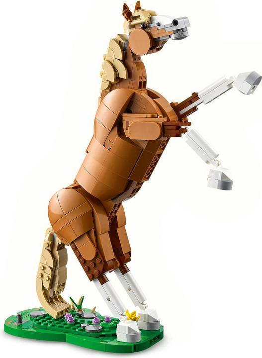 Image du produit LEGO Prächtiges Ross (31166, LEGO Creator 3-in-1)