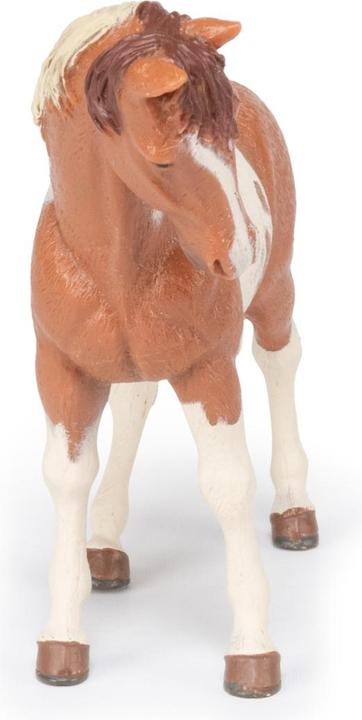 Image du produit Papo Pinto Mare