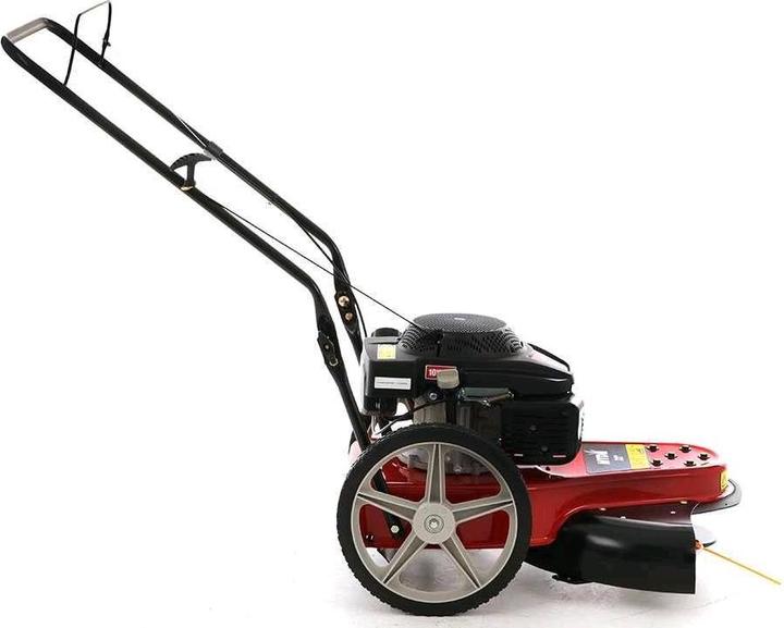 Immagine prodotto MTD Wst 5522 (Benzina)