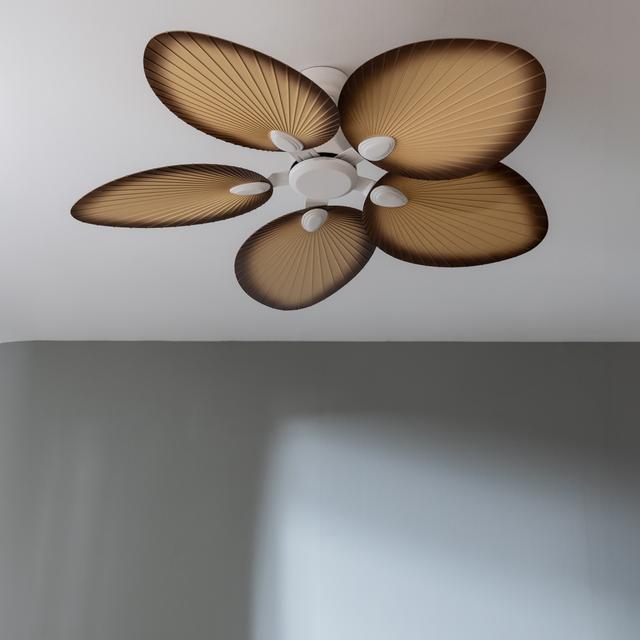 Image du produit Cecotec EnergySilence Aero 5200 Palm